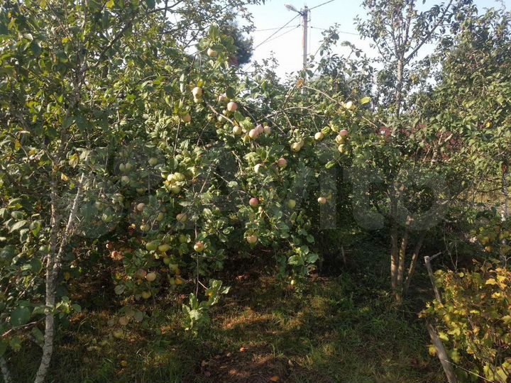 Участок 8 сот. (СНТ, ДНП)