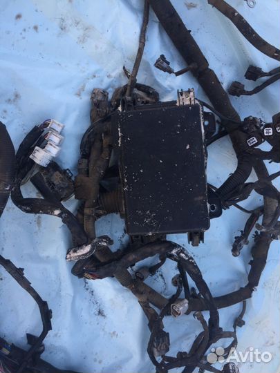 Жгут проводов (проводка) шасси Hino 300 Хино