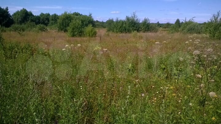 Участок 38 сот. (СНТ, ДНП)