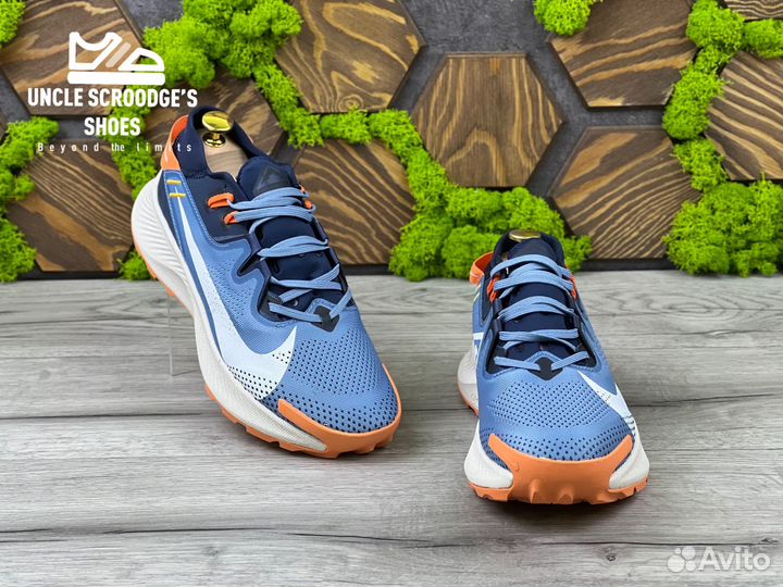 Кроссовки Nike Pegasus Trail 2