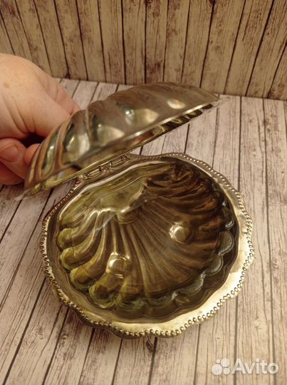 Икорница ракушка