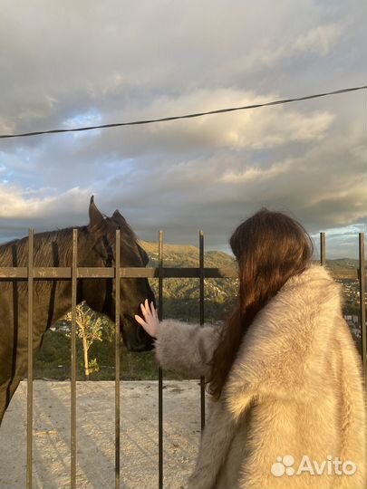 Искусственная шуба