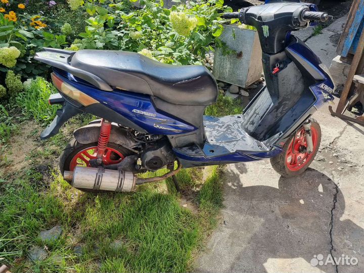 Продам Kansas Korsa