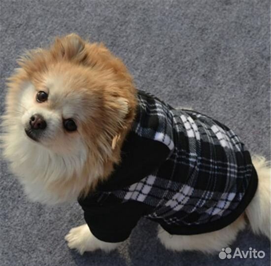 Одежда для маленьких собак м