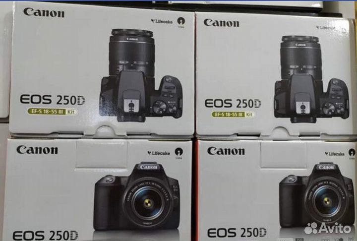 Canon EOS 250D Kit 18-55mm F/3.5-5.6 III