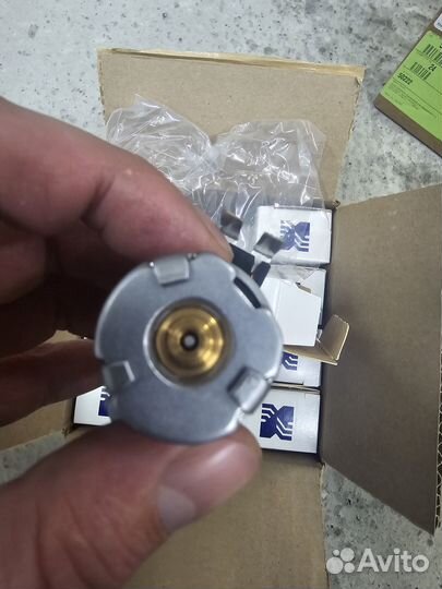 50223 Соленоид m11 m78/dq250 (vbs nl/n233/n371)