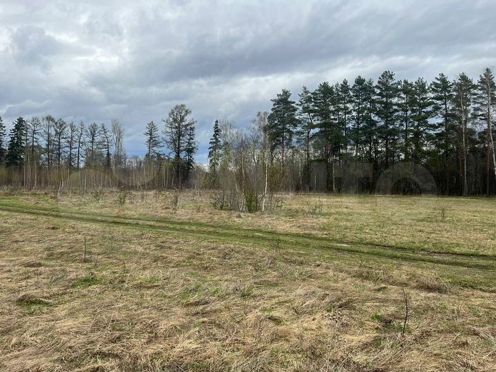 Участок 30 сот. (ИЖС)