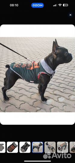 Одежда для собаки жилет