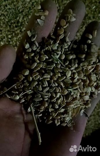 Нут колотый - корм