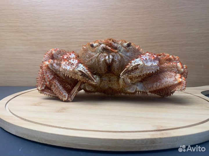 Краб волосатик без консервантов