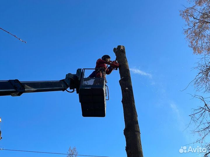 Спил деревьев Расчистка участков