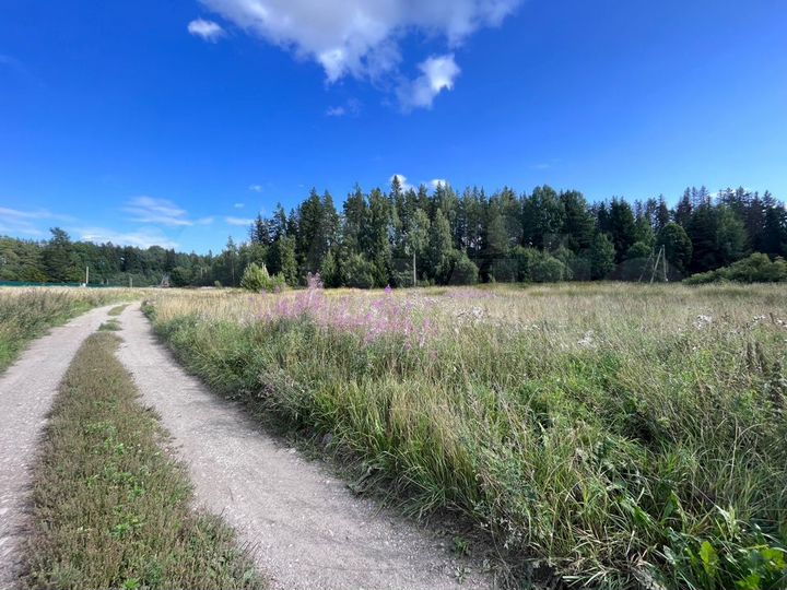 Участок 2,44 га (ИЖС)