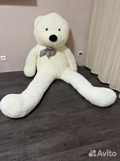 Медведь большой