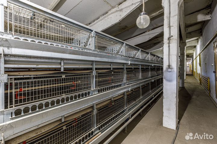 Фермерское хозяйство