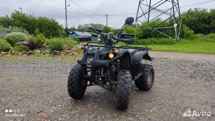 Avantis hunter lux 125