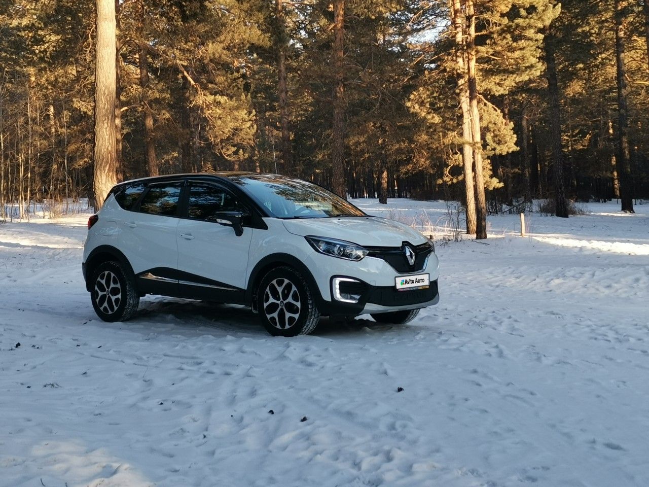 Renault Kaptur: фото владельца