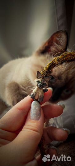 Дредобусины