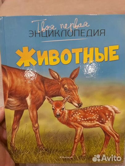 Новые энциклопедии