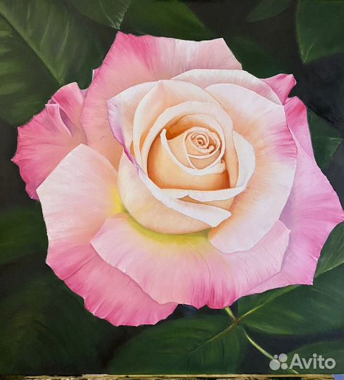 Картина маслом на холсте большая Роза