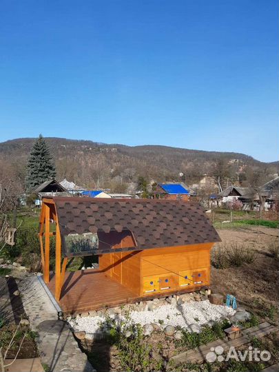 Сон на пчелах (Апидомик)