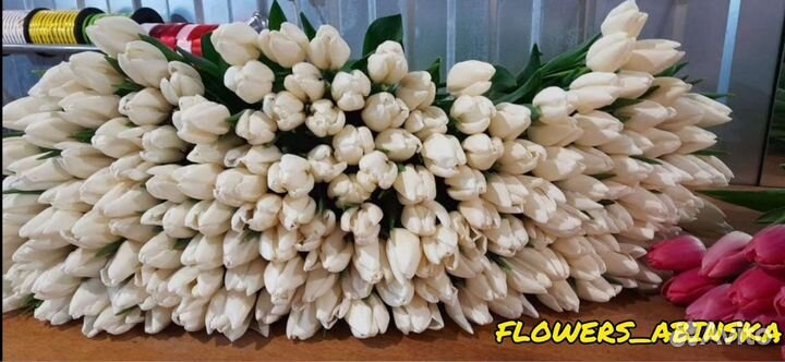 Тюльпаны к 8 марта