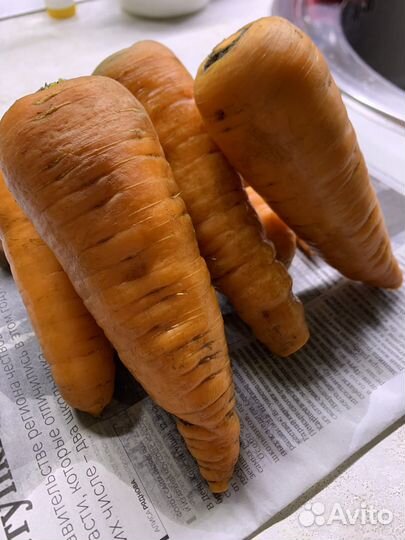 Овощи на корм животным