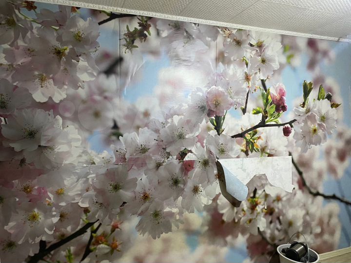 Комната 16 м² в 1-к., 5/5 эт.