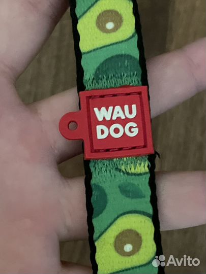 Поводок для маленьких собак