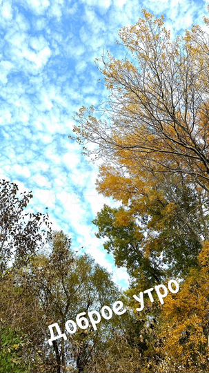 Дом 20 м² на участке 8 сот.