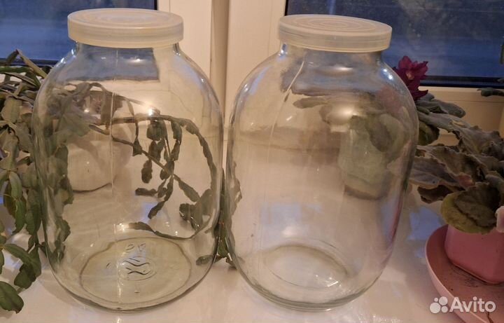 Банки стеклянные 3 литра, с крышкой, чистые