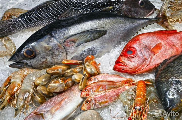 В продаже готовый бизнес – магазин рыбы