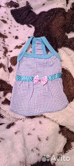 Одежда для маленьких собак