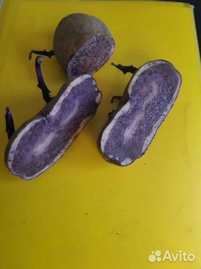 Картофель сорт 