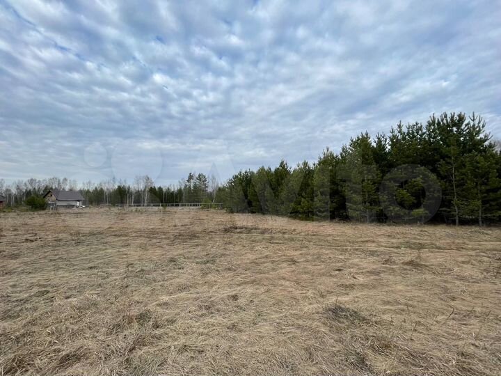 Участок 12,5 сот. (ИЖС)