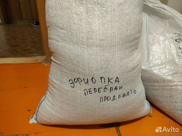 Семена дыни Идиллия, Эфиопка, Славия -черный принц