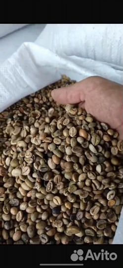 Кофе в зернах робуста 16 и арабика 18