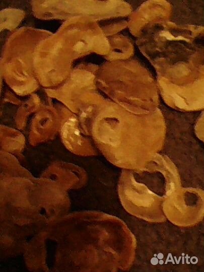 Ракушки и морские камни