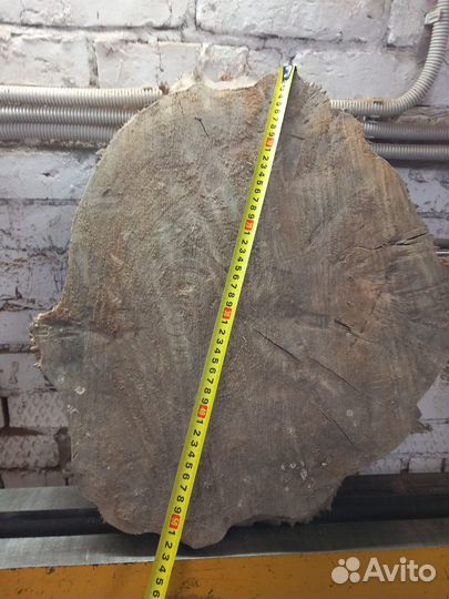 Спилы капового тополя. Спилы акации