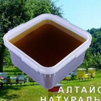 2024 Мед натуральный алтайский оптом