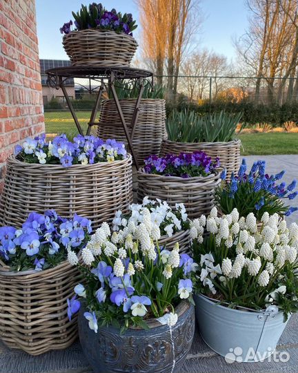 Корзинки плетеные с ручками из ротанга