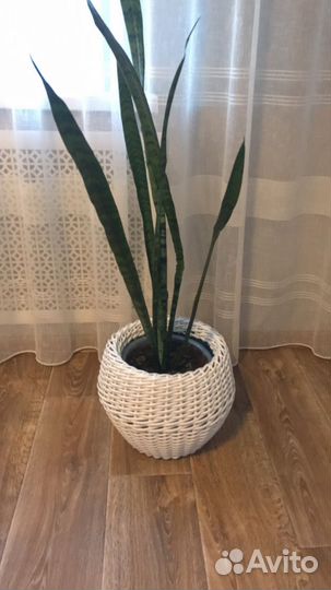 Кашпо из ротанга