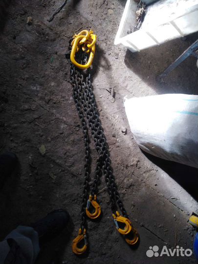 Паук цепной