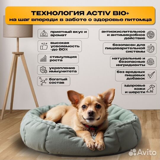 Корм для собак сухой