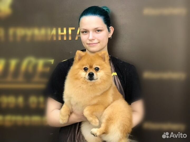 Грумер универсал (стрижка собак)