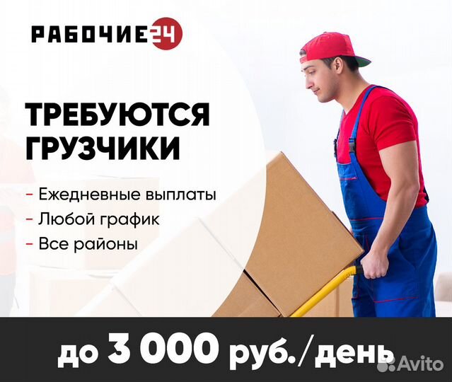 Грузчики/ бригада3-6 человек / Ежедневные выплаты