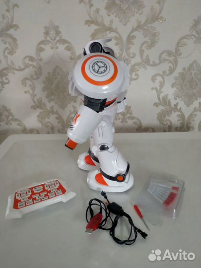 Интерактивный робот Crazon