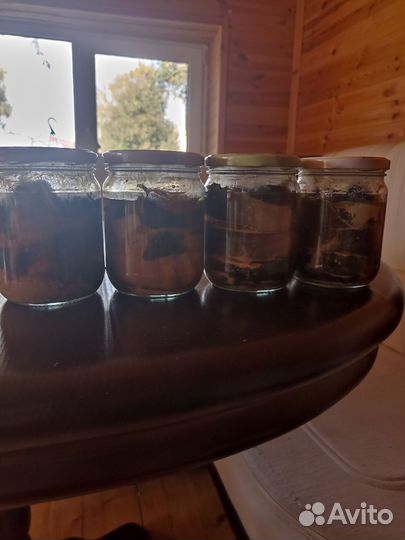 Консервы из горбуши