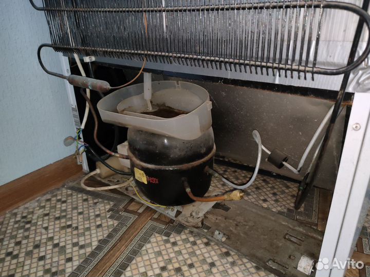 Холодильник exqvisit