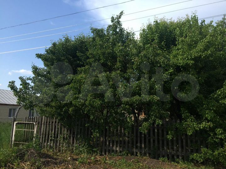 Дом 55 м² на участке 15 сот.