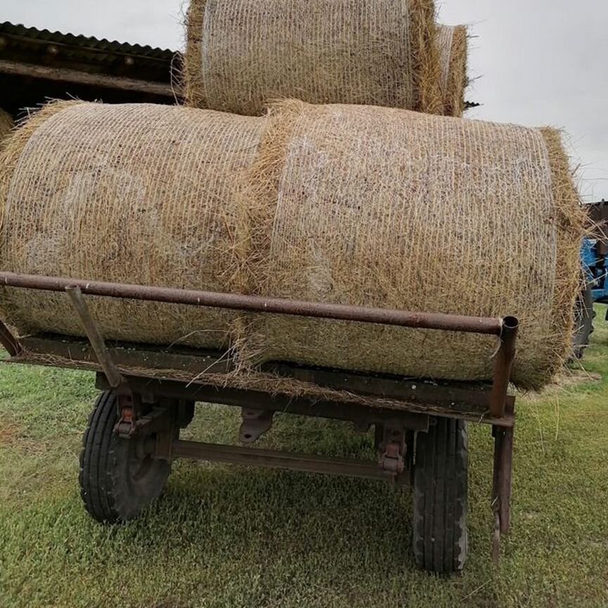 Продам сено. Укос 2024 года